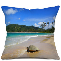 Sea Turtle On Beach. El Nido, Philippines Pillows 52001157
