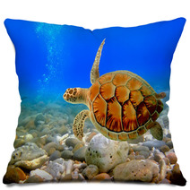 Sea Turtle Pillows 29299640