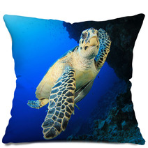 Sea Turtle Pillows 62841798
