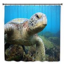 Sea Turtle Relaxing Underwater In Tropical Ocean Lagoon Bath Decor 54807315