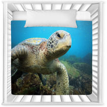 Sea Turtle Relaxing Underwater In Tropical Ocean Lagoon Nursery Decor 54807315