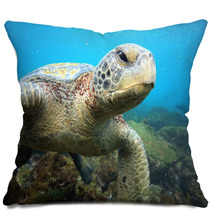 Sea Turtle Relaxing Underwater In Tropical Ocean Lagoon Pillows 54807315