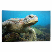 Sea Turtle Relaxing Underwater In Tropical Ocean Lagoon Rugs 54807315