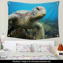 Sea Turtle Relaxing Underwater In Tropical Ocean Lagoon Wall Art 54807315