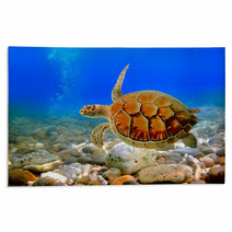 Sea Turtle Rugs 29299640