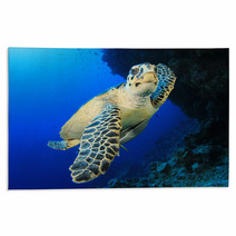 Sea Turtle Rugs 62841798