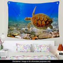 Sea Turtle Wall Art 29299640