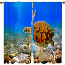 Sea Turtle Window Curtains 29299640