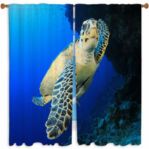 Sea Turtle Window Curtains 62841798