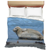 Seal On A Beach - Helgoland, Germany Bedding 89132245