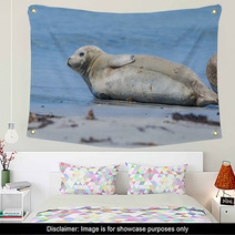 Seal On A Beach - Helgoland, Germany Wall Art 89132245
