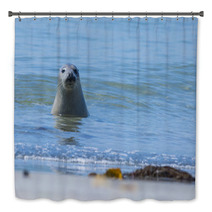 Seal On A Blue Beach Bath Decor 89132294