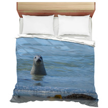 Seal On A Blue Beach Bedding 89132294