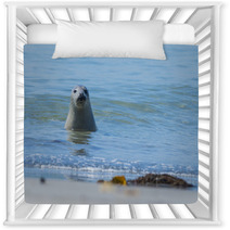 Seal On A Blue Beach Nursery Decor 89132294