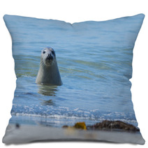 Seal On A Blue Beach Pillows 89132294