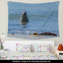 Seal On A Blue Beach Wall Art 89132294