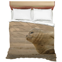 Seal Pup Bedding 84210613