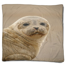 Seal Pup Blankets 84210587