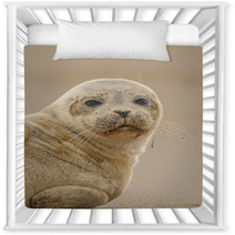 Seal Pup Nursery Decor 84210587