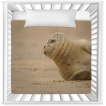 Seal Pup Nursery Decor 84210613