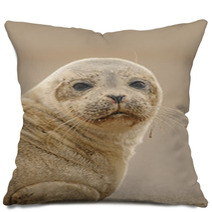 Seal Pup Pillows 84210587