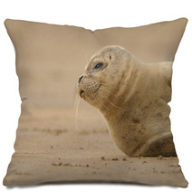 Seal Pup Pillows 84210613