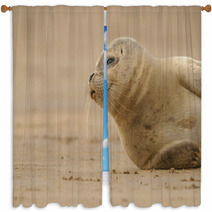 Seal Pup Window Curtains 84210613