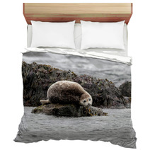 Seal Relaxing On A Rock In  Iceland Bedding 82282405