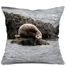 Seal Relaxing On A Rock In  Iceland Pillows 82282405