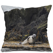 Seal, Vatnsnes, Iceland Pillows 100649850