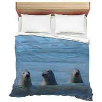 Seals On A Beach - Helgoland, Germany Bedding 89132310