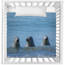Seals On A Beach - Helgoland, Germany Nursery Decor 89132310