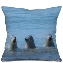 Seals On A Beach - Helgoland, Germany Pillows 89132310