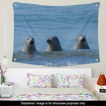 Seals On A Beach - Helgoland, Germany Wall Art 89132310
