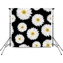 Seamless Background With Daisy Flowers On Black. Vector. Backdrops 50065039