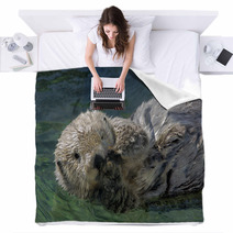 Seaotter Floating On Its Back Blankets 99940530