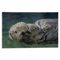 Seaotter Floating On Its Back Rugs 99940530