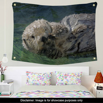 Seaotter Floating On Its Back Wall Art 99940530