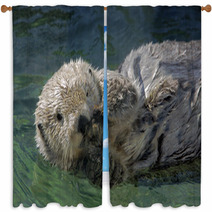 Seaotter Floating On Its Back Window Curtains 99940530