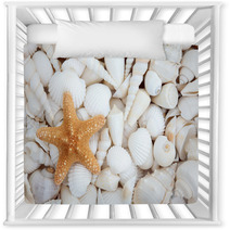 Seashell Beauty Nursery Decor 52777482