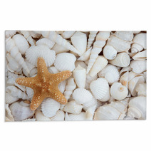 Seashell Beauty Rugs 52777482