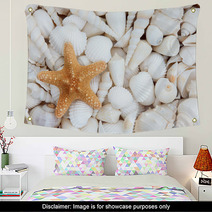 Seashell Beauty Wall Art 52777482