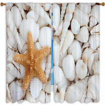 Seashell Beauty Window Curtains 52777482