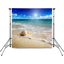 Seashell On The Beach (shallow DOF) Backdrops 32416602