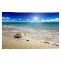Seashell On The Beach (shallow DOF) Rugs 32416602