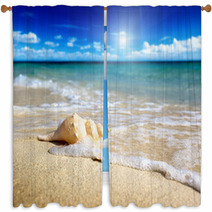 Seashell On The Beach (shallow DOF) Window Curtains 32416602
