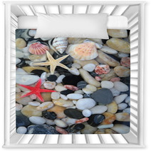 Seashell, Starfish And Colorful Pebble Stones Nursery Decor 54641541