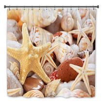 Seashells Background. Bath Decor 66785713