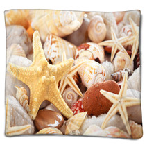 Seashells Background. Blankets 66785713