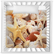 Seashells Background. Nursery Decor 66785713